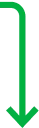 Vector 5